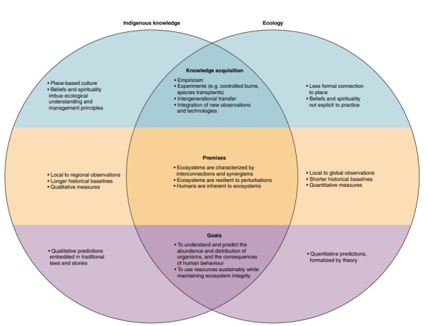 Intersection of Indigenous knowledge and ecology