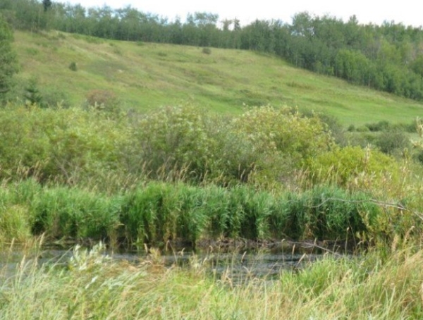 SALMTEC ABWRET Course