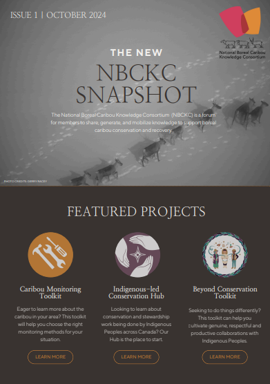 Newsletter cover page