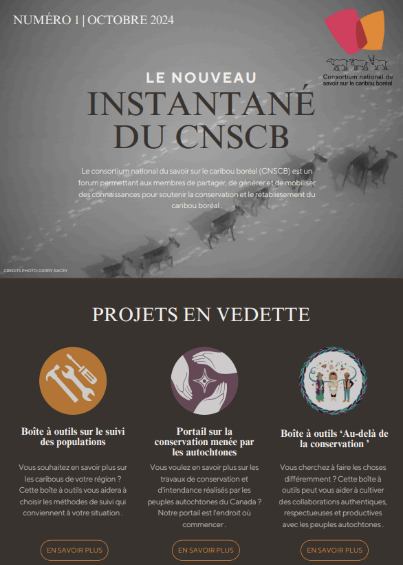 Newsletter cover page