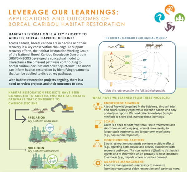 Infographic snap shot