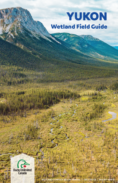 Yukon Wetland Field Guide