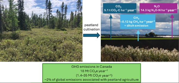 Drained Peatland Agriculture Emissions