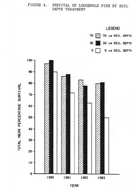 Judy Creek tree survival