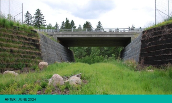 Marquis Wildlife Corridor