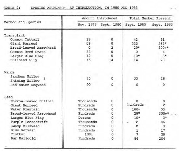 Marsh revegetation species