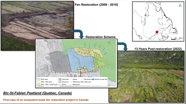 Peatland Graphical Abstract