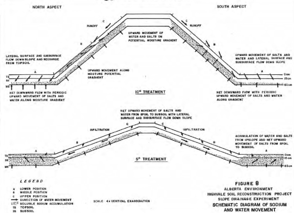Salt movement at Highvale Plots