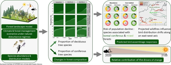 Bird Assemblage Response to Climate Graphical Abstract
