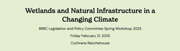 Wetlands and Natural Infrastructure in a Changing Climate Banner