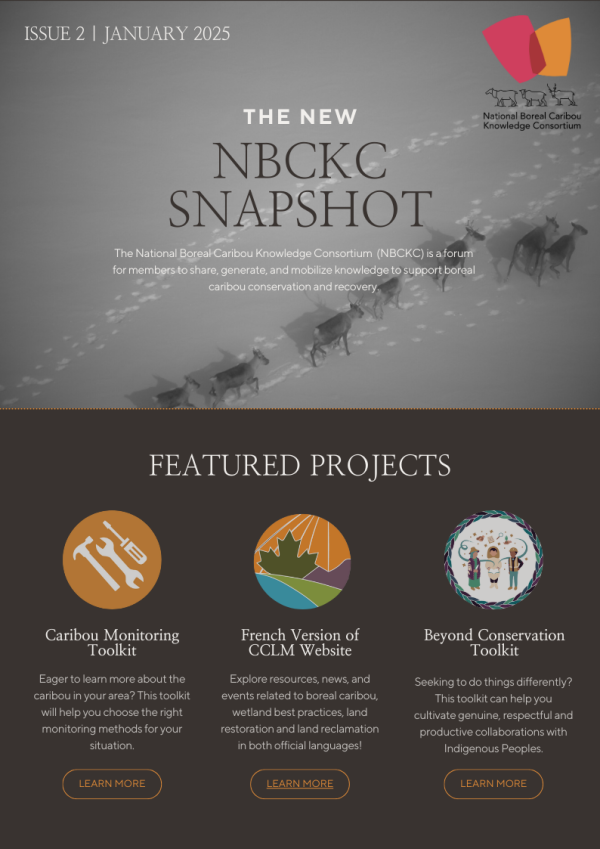 Newsletter cover page