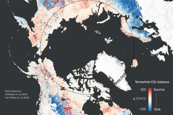 Arctice Average Terrestrial CO2 Balance (2001-2020)