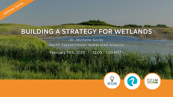 Building a Strategy for Wetlands