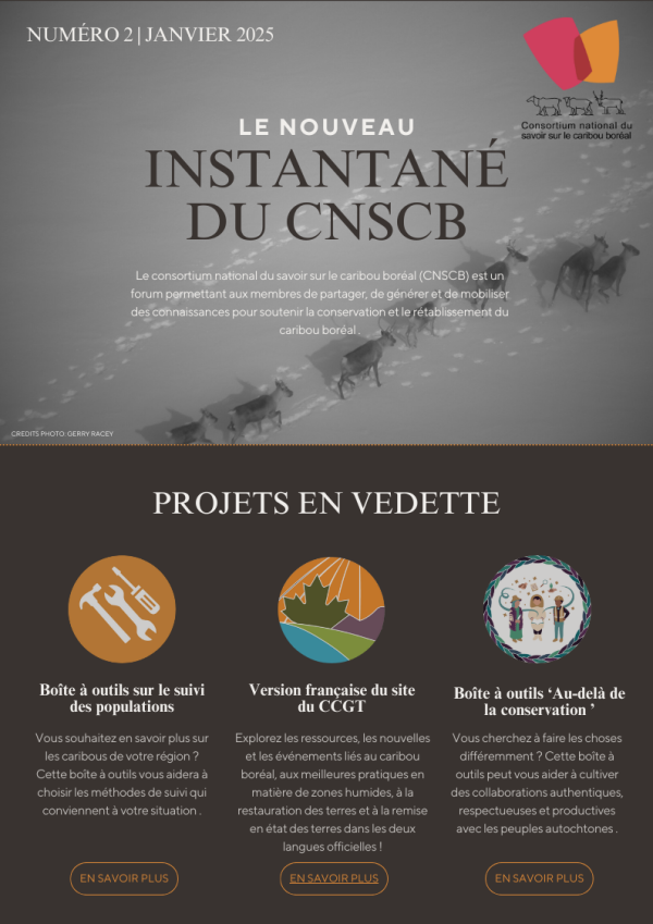 page de couverture de la newsletter