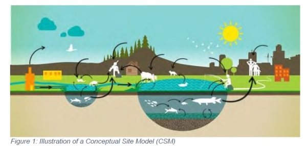 Conceptual Site Model