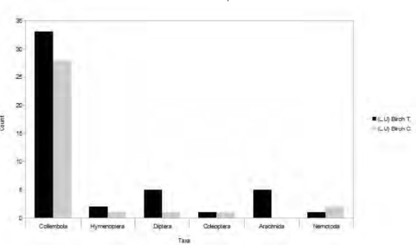 Microarthropod types in reclamation sites