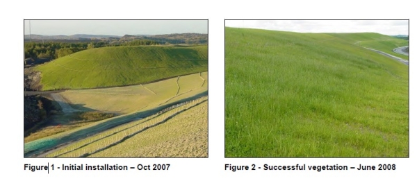 Sudbury mine reclamation