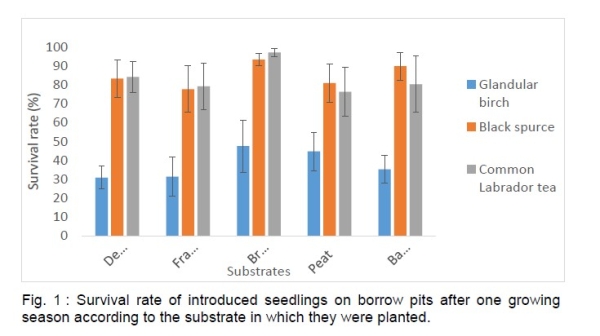 Tree and shrub survival