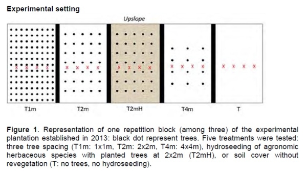 Tree spacing