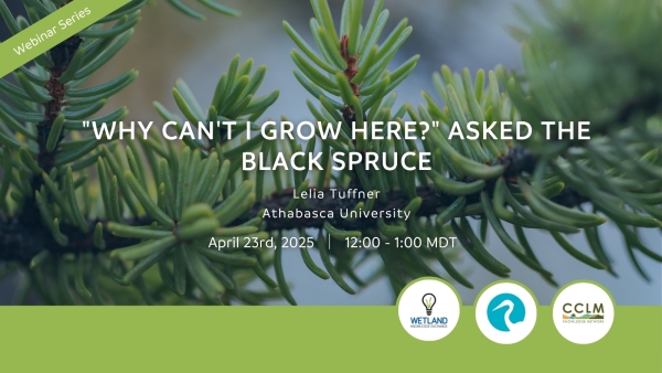 April 2025 WKE Webinar