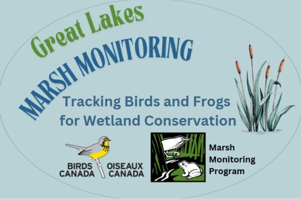 Marsh Monitoring Poster