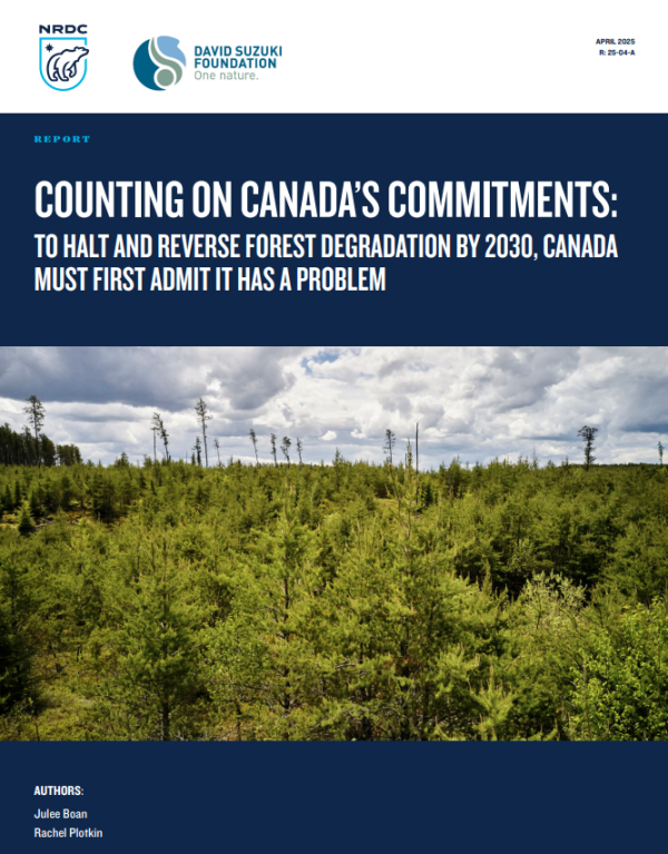 Cover page of report