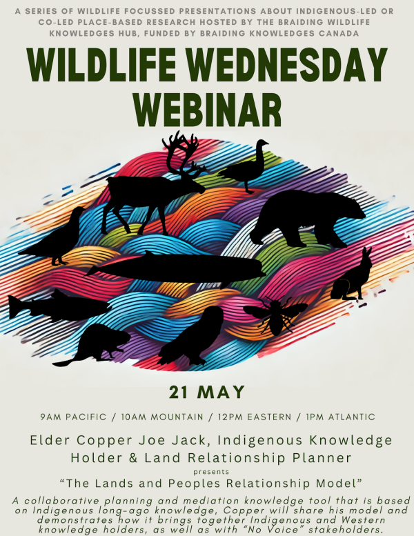 Webinar poster