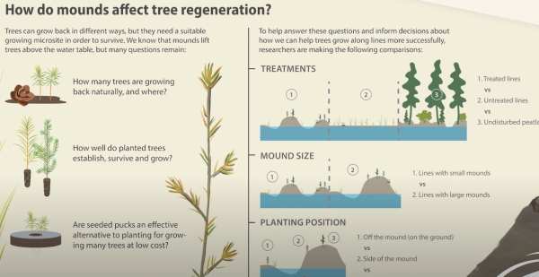 Mound Graphic from Video