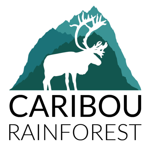Caribou Rainforest logo