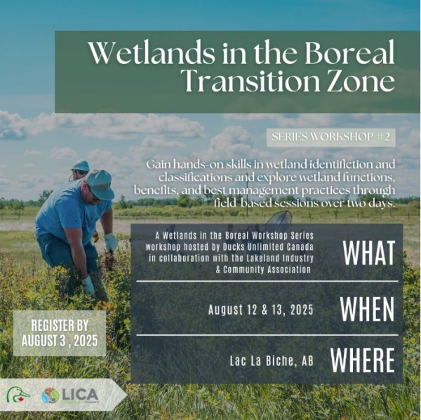 Wetlands in Boreal Transition Zone LICA