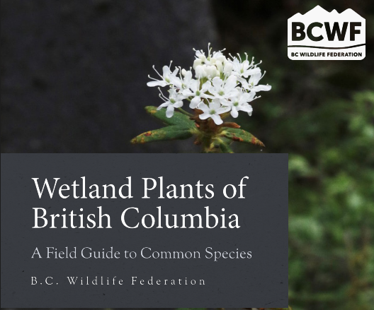 Wetland Plants of British Columbia