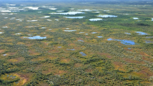 Peatland pools