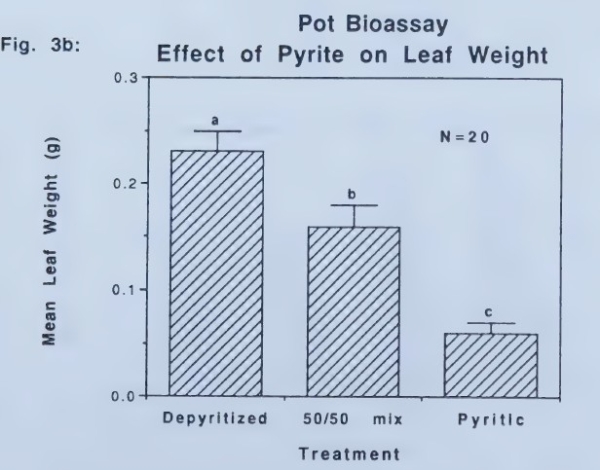 Effect of pyrite on leaf weight