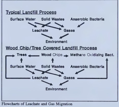 Wood waste for reclamation