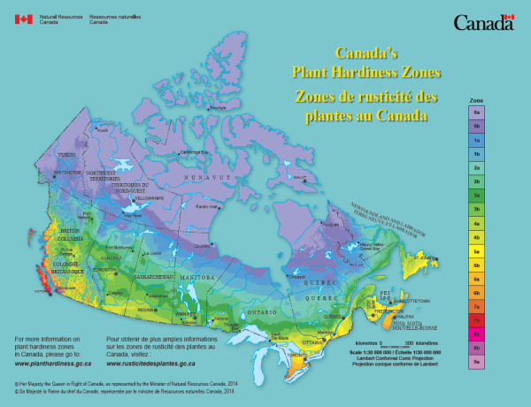 plant hardiness
