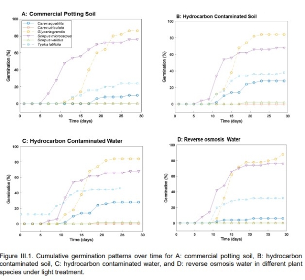 Wetland species germination patterns in various media