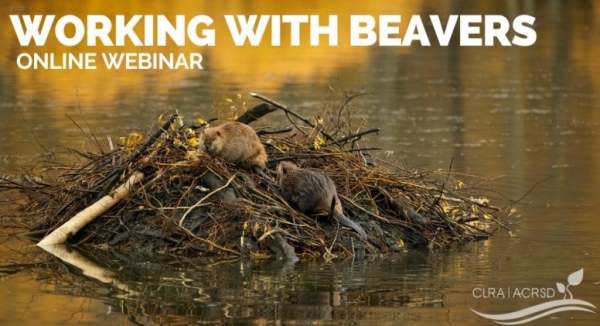 Working with Beavers Webinar