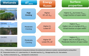 Wetland cooling effect