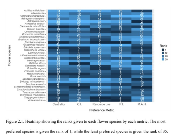 Plant preference by insects