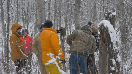 Wildlife camera monitoring