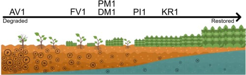 Multi-proxy high-resolution geochemical analysis reveals ecological baselines and evaluates potential restoration trajectories in European ombrotrophic peatlands