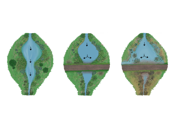 Road Prism Blocking Natural Flow