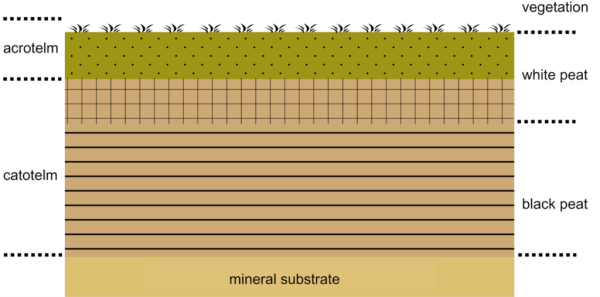 afbeelding-mineral-substrate