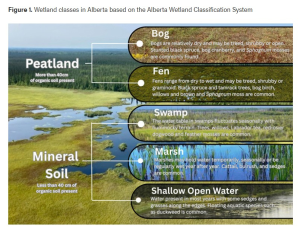 Wetland Classes in Alberta