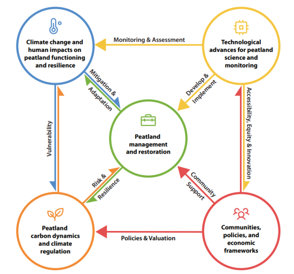 Priority research questions in global peatland science