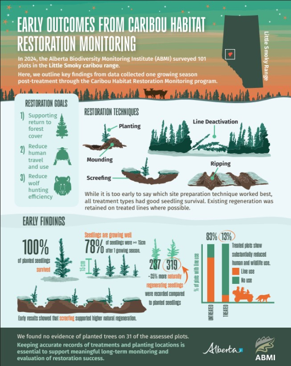 Caribou monitoring infographic