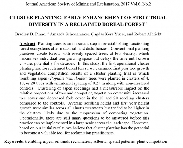 Cluster Planting: Early Enhancement