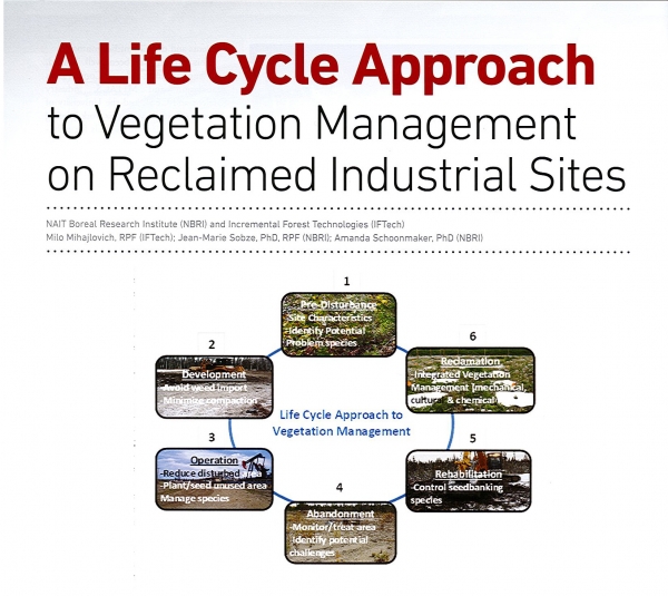 Life Cycle Approach Image