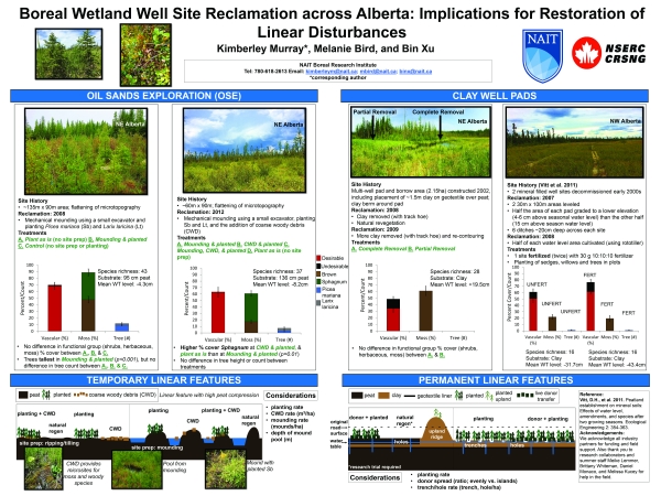 Implications for Restoration of Linear Disturbances Image
