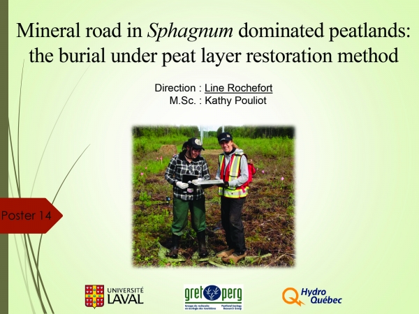 Mineral Road in Sphagnum Dominated Peatlands Image